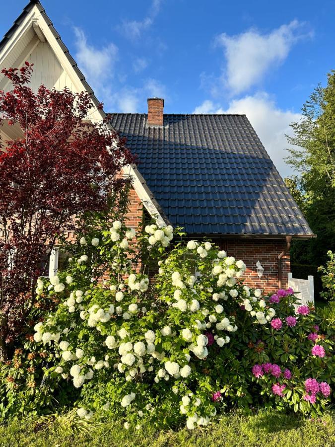Louf Wiesmoor Exterior foto